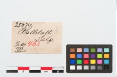 Etiketten zu Bronzesanguisugafibel (NHMW-PRAE-025070)